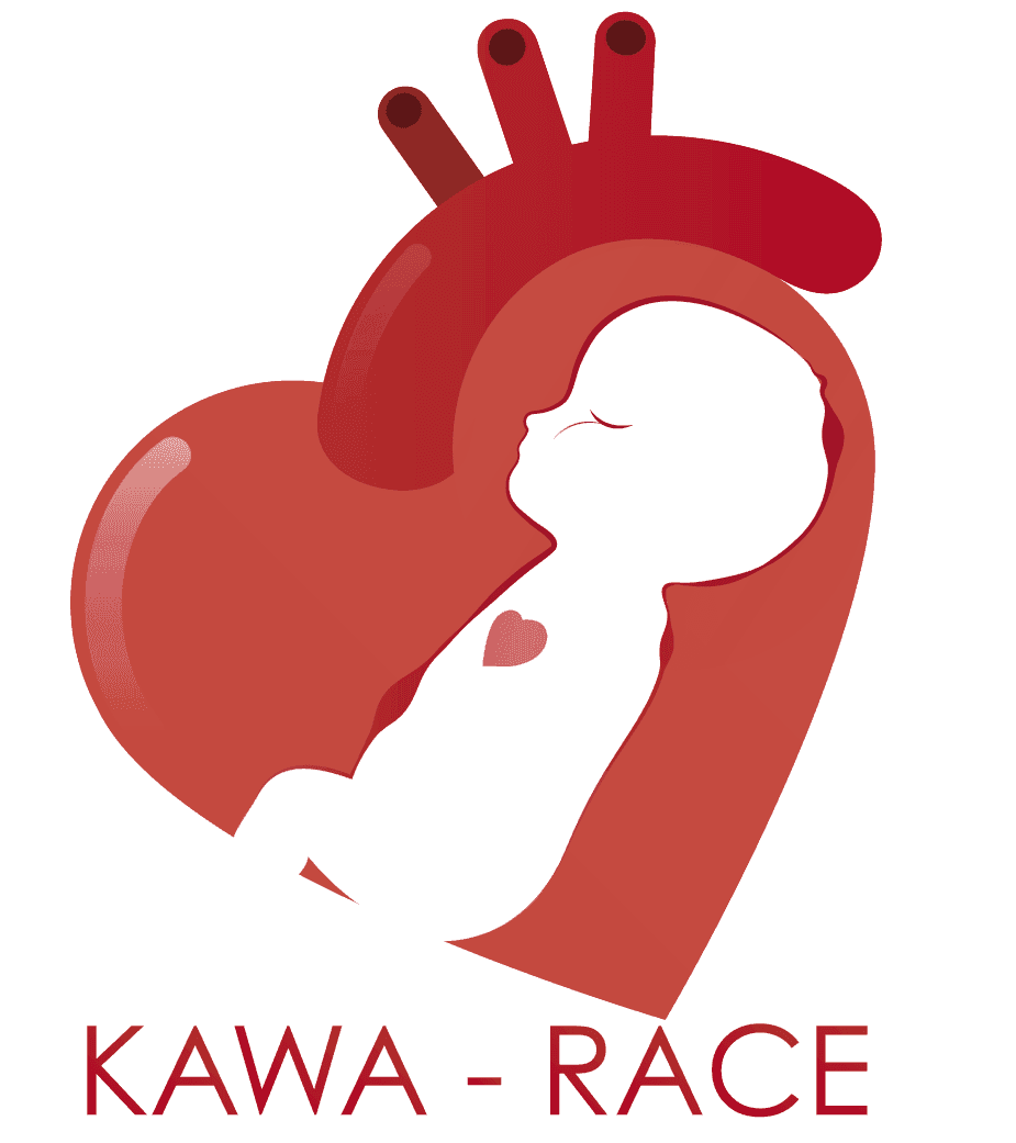 log_kawa_race-prueba_01_log_01-1-e1588018122373.png